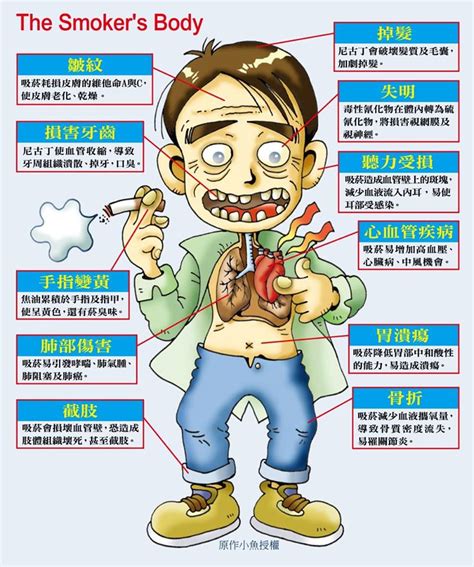 抽煙對身體的危害|一手煙 